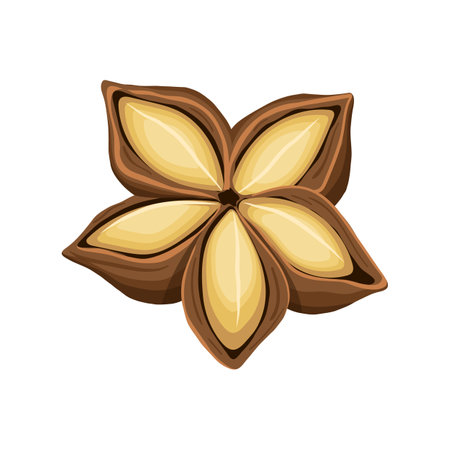 inchi sacha dry cartoon vector illustrationのイラスト素材