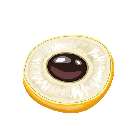 longan food cartoon vector illustrationのイラスト素材