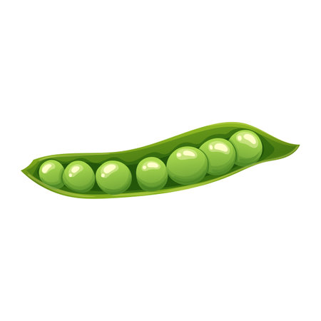 green pea food cartoon vector illustrationのイラスト素材