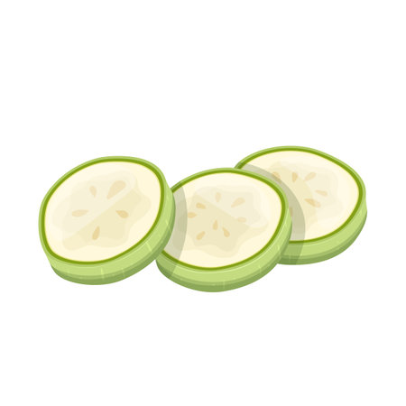 zucchini marrow vegetable cartoon vector illustrationのイラスト素材