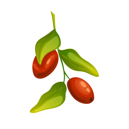 jojoba natural oil cartoon vector illustrationのイラスト素材