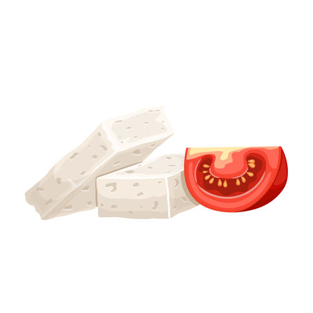 cheese feta white food cartoon vector illustrationのイラスト素材