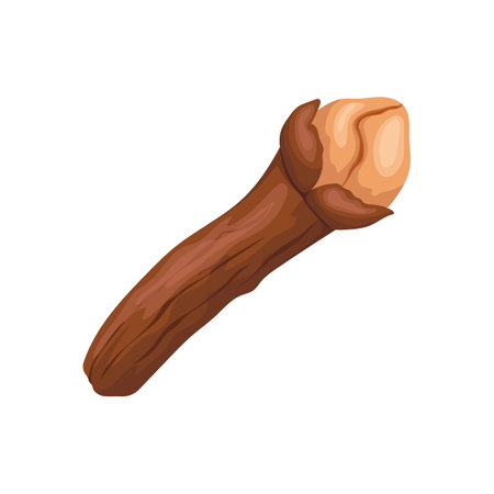 clove spice cartoon vector illustrationのイラスト素材