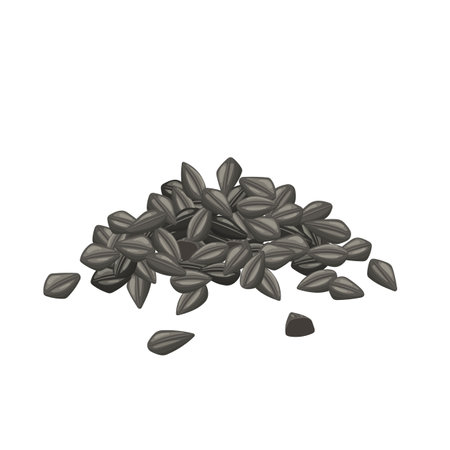 nigella sativa cumin black cartoon vector illustrationのイラスト素材