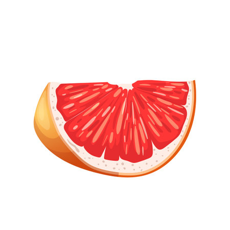grapefruit fruit cut cartoon vector illustrationのイラスト素材