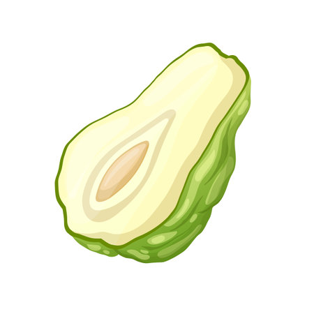 chayote fresh cartoon vector illustrationのイラスト素材