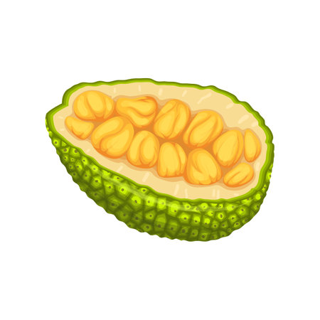 jackfruit slice cut cartoon vector illustrationのイラスト素材