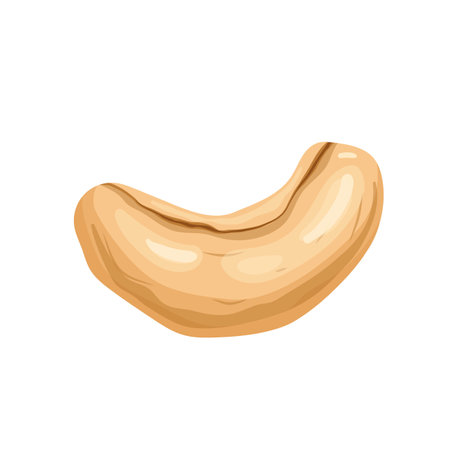 cashew nut food cartoon vector illustrationのイラスト素材