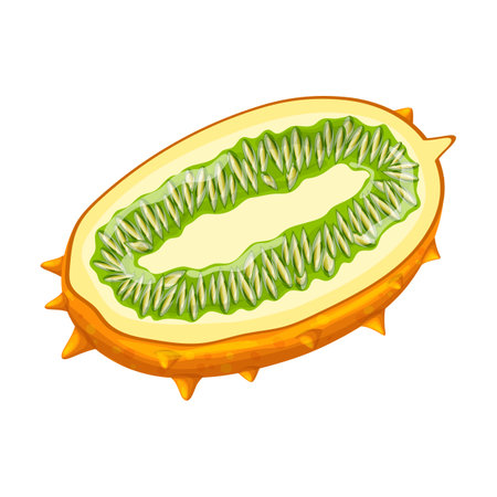 kiwano fruit slice yellow cartoon vector illustrationのイラスト素材