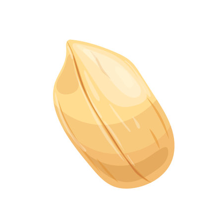peanut nut cartoon vector illustrationのイラスト素材