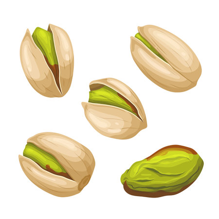 pistachio nut food set cartoon vector illustrationのイラスト素材
