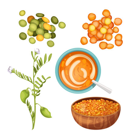 lentils food healthy set cartoon vector illustrationのイラスト素材