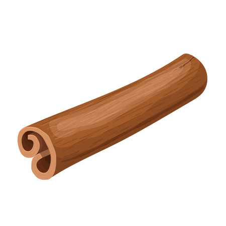 cinnamon stick spice cartoon vector illustrationのイラスト素材
