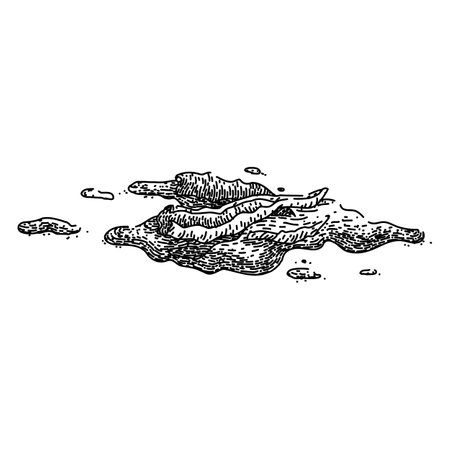 pepper paprika sketch hand drawn vectorのイラスト素材