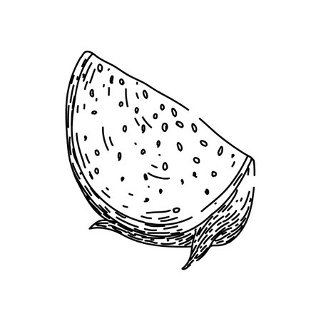 organic dragon fruit sketch hand drawn vectorのイラスト素材