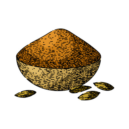herb cumin sketch hand drawn vectorのイラスト素材