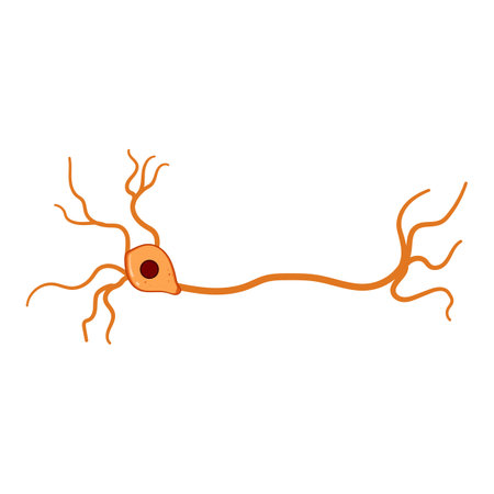 cell neurons cartoon vector illustrationのイラスト素材