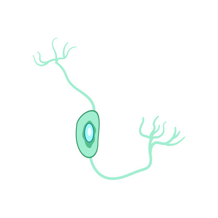 nerve neurons cartoon vector illustrationのイラスト素材