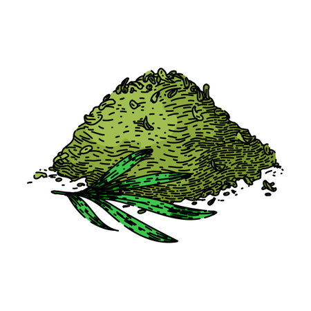 fresh tarragon sketch hand drawn vectorのイラスト素材