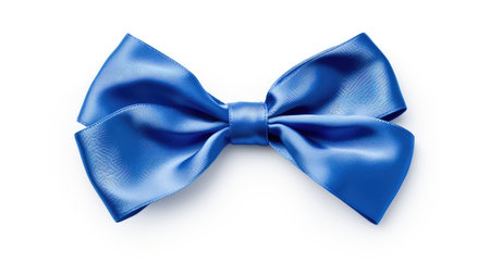 ribbon blue holiday bowの素材