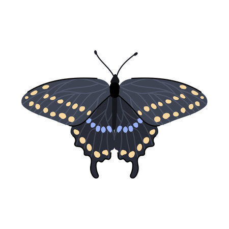 watercolor butterfly cartoon vector illustrationのイラスト素材
