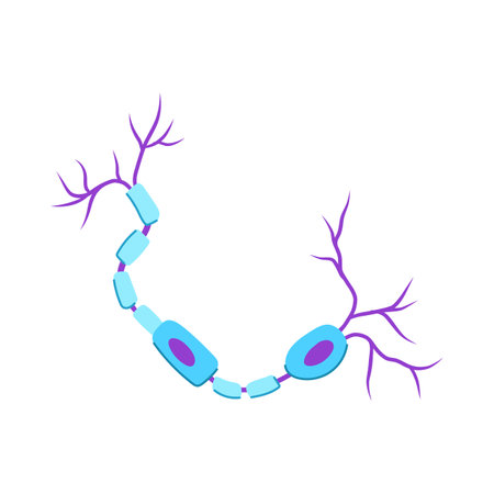 neuro neurons cartoon vector illustrationのイラスト素材