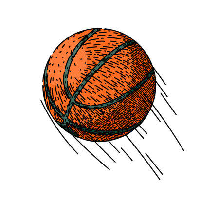 sport basketball ball hand drawn. basket isolated, black orange, equipment competition sport...