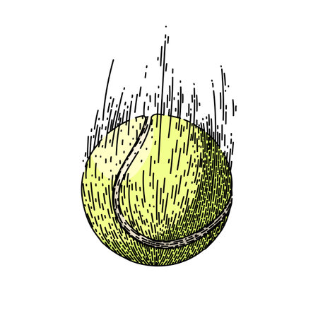 sport tennis ball hand drawn. isolated racket, green tenis, object macro sport tennis ball vector sketch. isolated color illustrationのイラスト素材