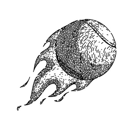 yellow tennis ball hand drawn. sport isolated, racket green, tenis object yellow tennis ball vector sketch. isolated black illustrationのイラスト素材