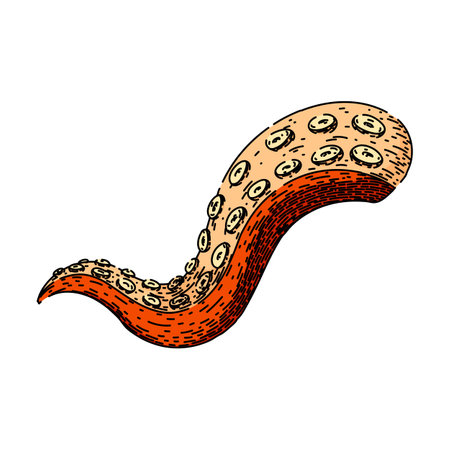 monster octopus kraken tentacle hand drawn. squid sea, tattoo art, underwater fantasy monster octopus kraken tentacle vector sketch. isolated color illustrationのイラスト素材