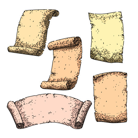 scroll paper set hand drawn. parchment papyrus, vintage texture, sheet manuscript scroll paper vector sketch. isolated color illustrationのイラスト素材