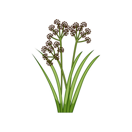 pond lake plant cartoon vector illustrationのイラスト素材