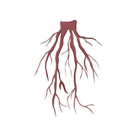 graphic tree root cartoon vector illustrationのイラスト素材