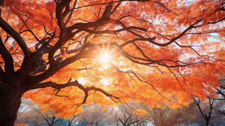 leaves trees transparentの素材