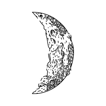 lunar moon sketch hand drawn vectorのイラスト素材