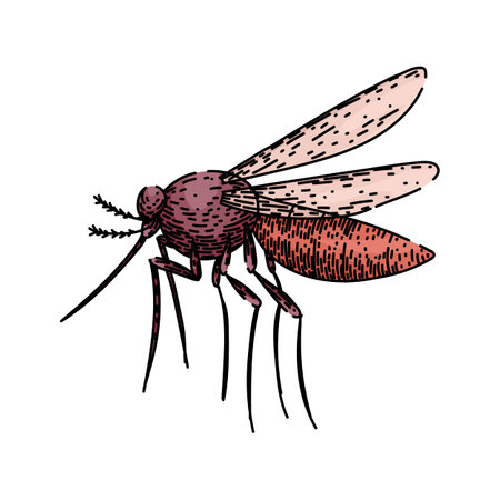 dengue mosquito sketch hand drawn vectorのイラスト素材