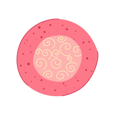 wound kid plaster cartoon vector illustrationのイラスト素材