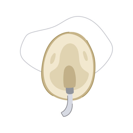 safety oxygen mask cartoon vector illustrationのイラスト素材