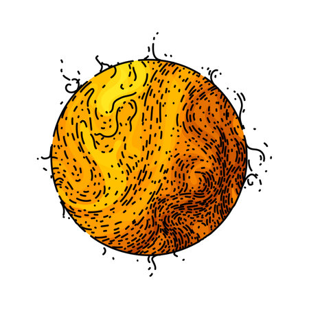 sunshine sun sketch hand drawn vectorのイラスト素材