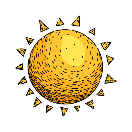 sunlight sun sketch hand drawn vectorのイラスト素材