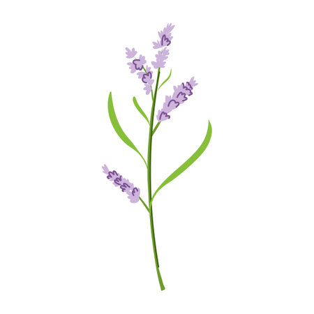 garden flower branch cartoon vector illustrationのイラスト素材