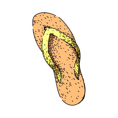 comfort flip flops sketch hand drawn vectorのイラスト素材