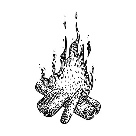 firewood campfire sketch hand drawn vectorのイラスト素材