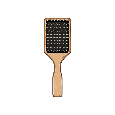 boar hair brush wooden cartoon vector illustrationのイラスト素材