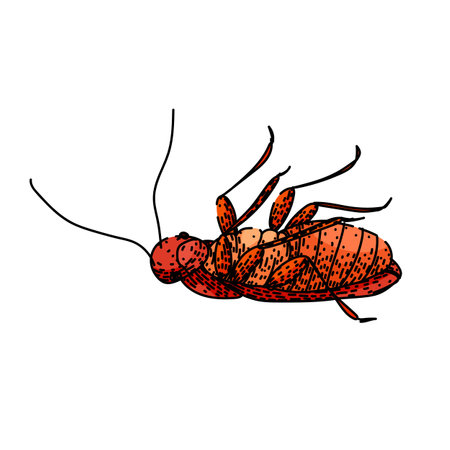 control cockroach sketch hand drawn vector