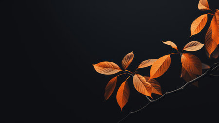 gradient fall leaves blackの素材