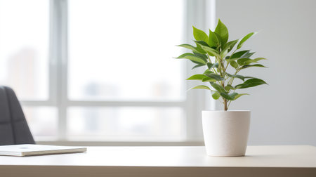 cactus table plantsの素材