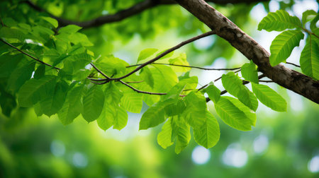 ecosystem saveの素材