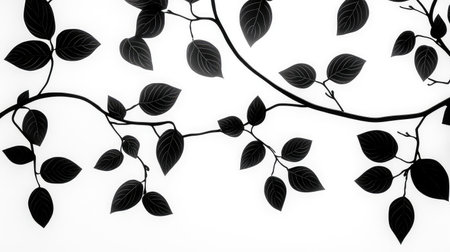 overcast black and white leavesの素材