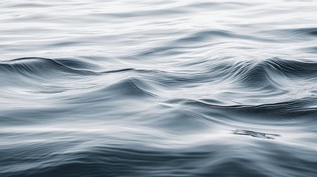 gentle light gray abstract backgroundの素材